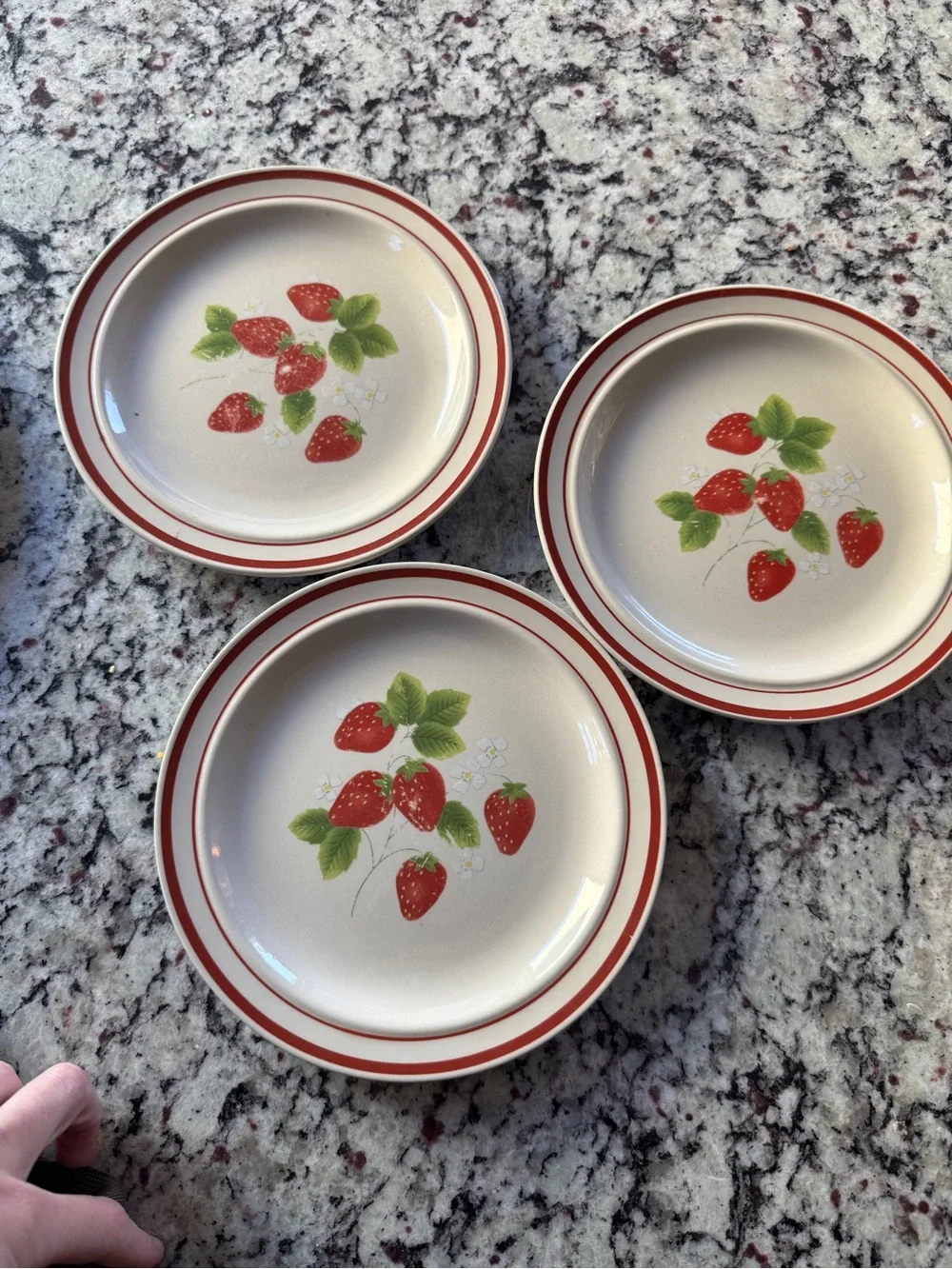 Fujustone berries Strawberry Pattern salad plates - Set of 3